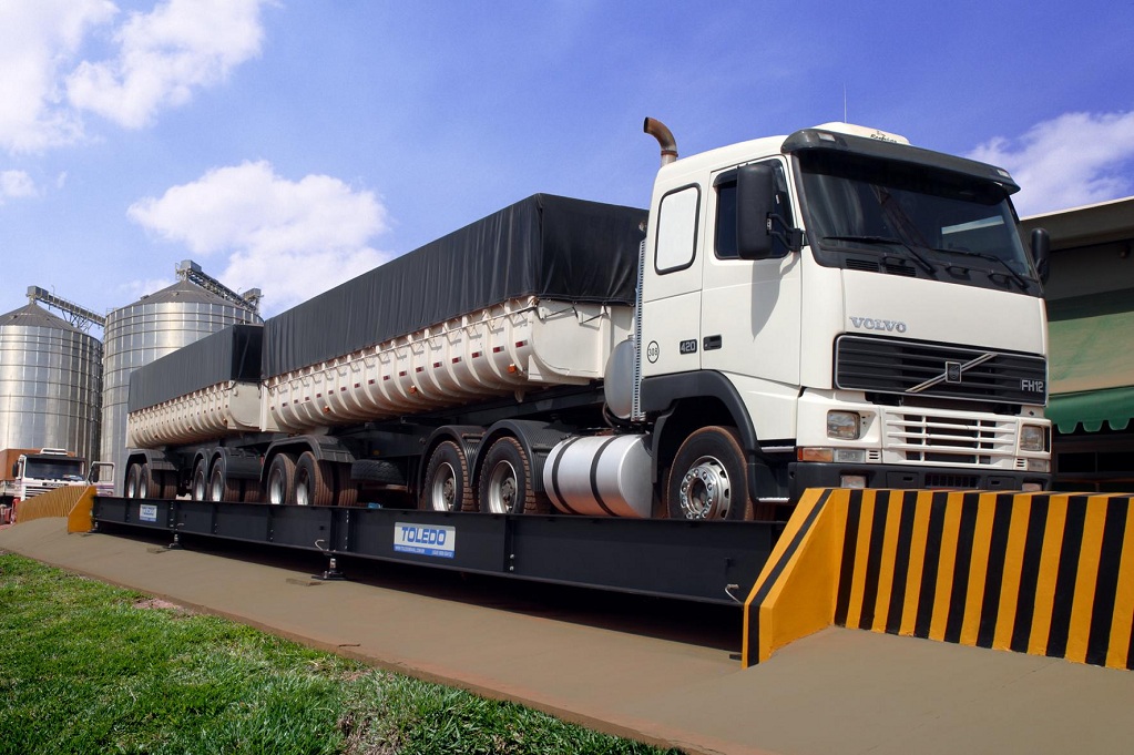 Marsa Alam underawter close up