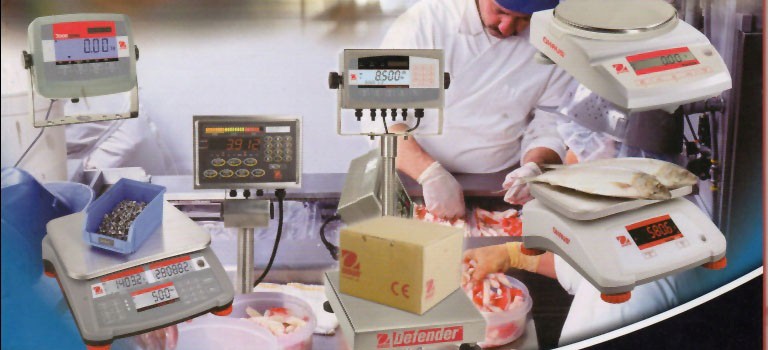 Turrimetta Beach - Dawn